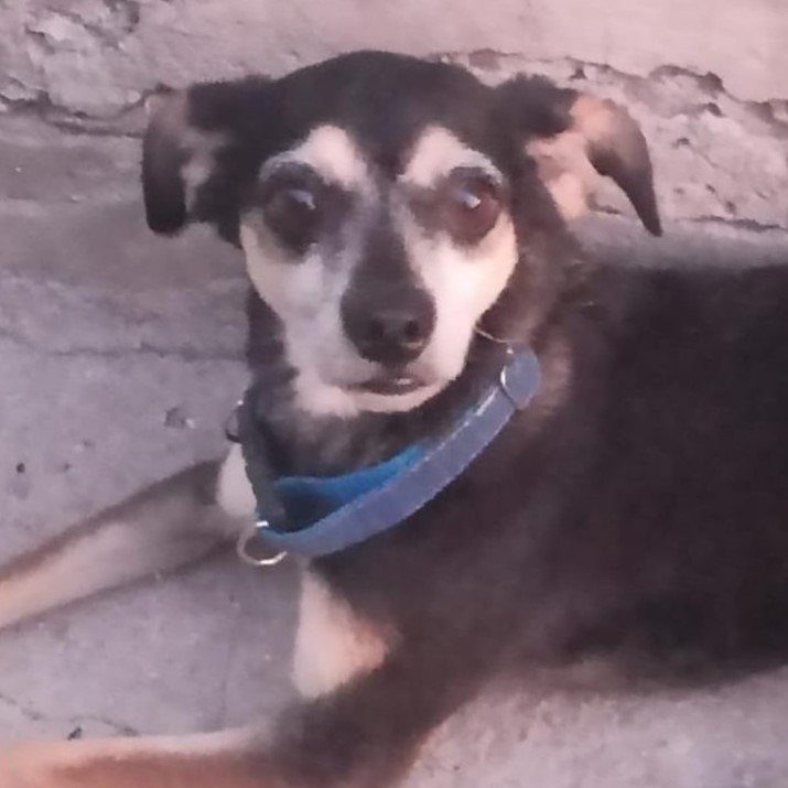 Foto do Bidu